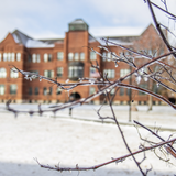 Photo of campus snow.